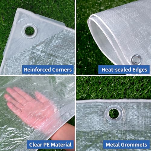 TARPAL Clear Tarp 6x10ft Small Tarp Waterproof Clear Plastic Tarps | Tarps With Grommets and Reinforced Edges for Patio,Porch and Outdoor Plant,Chicken Coop,Garden,Cat Litter - size: 6x10FT-Finished Size