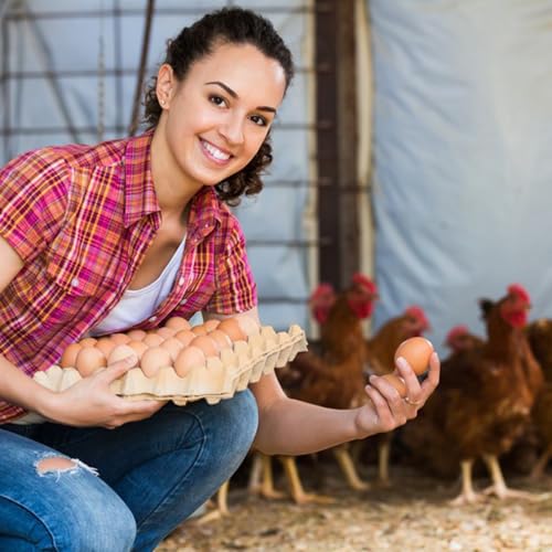 18 Flats 30-Cell Egg Crate, Holds 30 Eggs | Cardboard Egg Cartons, Sturdy and Stackable Egg Flats, Perfect Egg Crates for Fresh Eggs, Chicken Farm - size: 18 Pack grey
