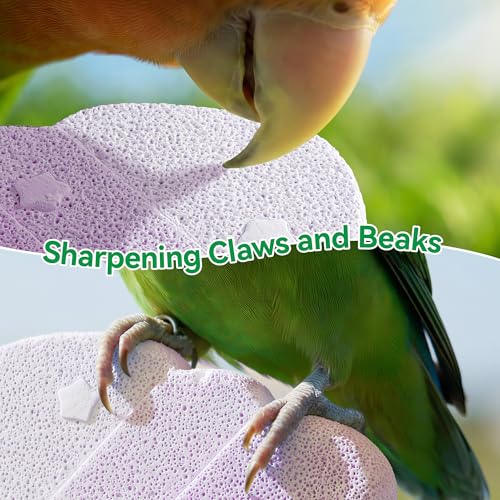2 Pack Parrot Perch for Cage Bird Beak Grinding Stone, Volcanic Rock Mineral Bird Perch, Parrot Cage Accessories for Parakeets Budgies Cockatiels, Lovebirds Small to Medium Birds - color: Blue+Purple