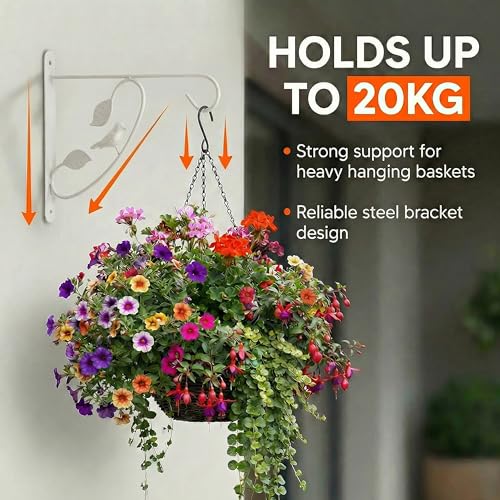 Bird Scroll Metal Wall Bracket for Hanging Accessories and Flowerpots Suitable for Indoor & Outdoor Use, White Set of 2 - color: White, size: Bird Scroll