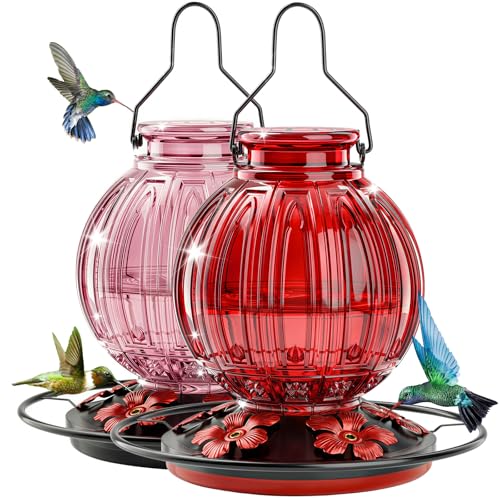 2 Pack Glass Hummingbird Feeder for Outdoors Hanging, Bird Nectar Feeder with Perch & 5 Flower Feeding Ports, 26 Oz Leak Proof for Outside Garden Decor Backyard, Gifts for Women Mom, Red + Pink - color: Red + Pink