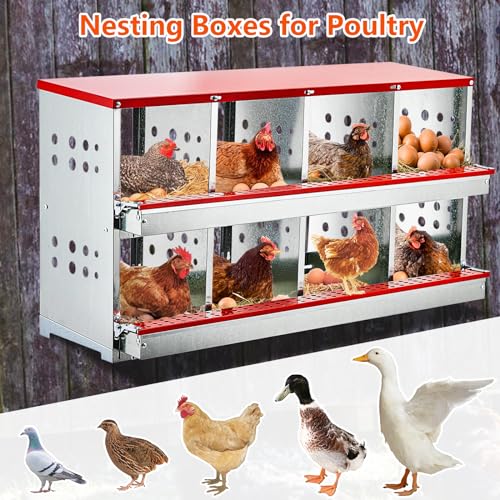 Garvee Nesting Boxes for Chickens, 8 Compartment Roll Out Away Chicken Nesting Boxes for Laying Eggs, Nesting Gift Boxes for Hens Duck Poultry, Metal Heavy Duty Chicken Coop with Perch