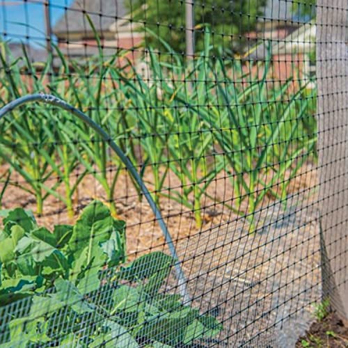 YARDGARD 1/2 Inch Mesh Welded Wire Fence, Hardware Cloth, 19 Gauge Galvanized Steel for Garden Protection, Cage Fencing, Chicken and Rabbit Barriers, and Crafts, 24 Inches x 50 Feet - size: 24 Inches x 50 Feet