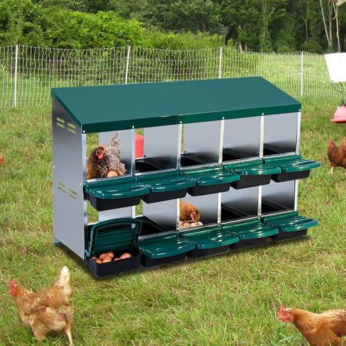 GarveeTech 10-Hole Poultry Nesting Box with Egg Collection Tray, Chicken Laying Box with Ventilation Design for Hens & Ducks, Ideal for Backyard Coops and Small Farms - color: Green, size: 10 holes