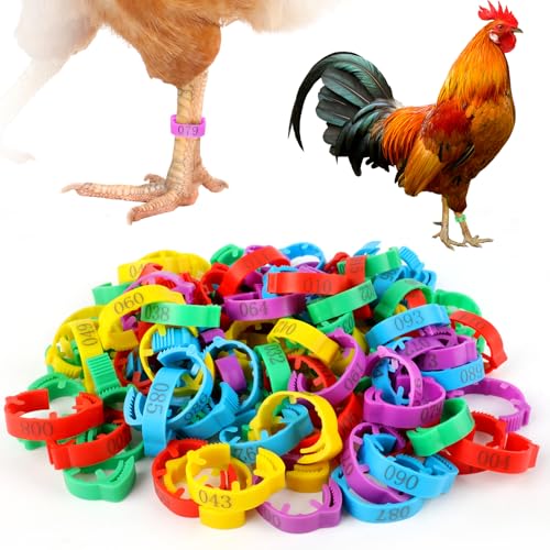 100 Pcs Adjustable Chicken Leg Rings | Multicolor Numbered Chicken Identification Leg Bands, Durable Poultry Leg Bands for Chickens Turkey Goose Ducks