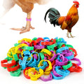 100 Pcs Adjustable Chicken Leg Rings | Multicolor Numbered Chicken Identification Leg Bands, Durable Poultry Leg Bands for Chickens Turkey Goose Ducks