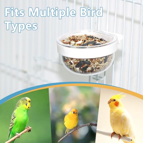 6 Pack Detachable Transparent Bowl Plastic Food Cup Convenient Hanging Seed Water Feeder for Parrot Canary Finch Small Size Bird