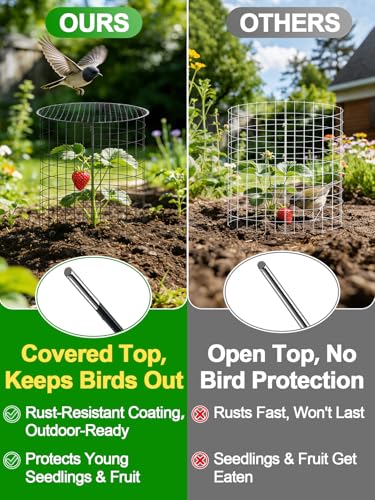 16''H x 11''Dia Plant Protectors from Animals - Full-Protection Anti-Rust Plant Cages with Covers for Outdoor Plants, Wire Garden Cloches for Plants Strawberry Keeping Chicken Rabbits Out, 4 Sets