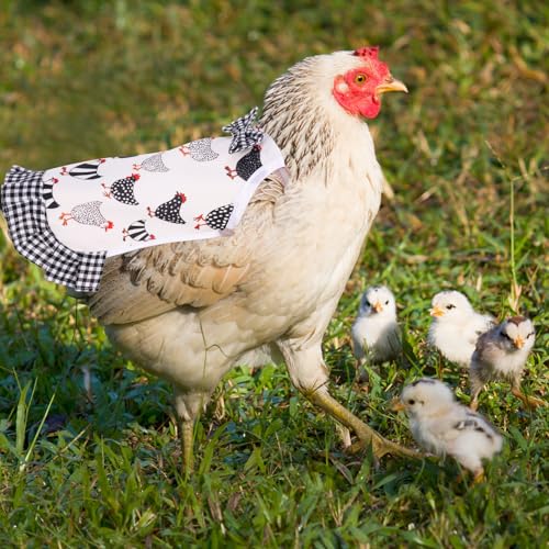 6 Pcs Chicken Saddle for Hens, Chicken Aprons Back Protector | Chickens Vest Jacket Saddles for Poultry Hen Feather Fixer Supplies (Elastic Strap) - style: Elastic Strap