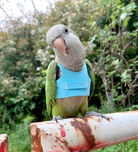 Bird Flight Harness Vest, Parrot Flight Suit with Leash for Parakeets Cockatiels Conures Budgies, Bird Flying Clothes with Rope and Handle for Outdoor Activities Training, Anti Bite (S, Blue)