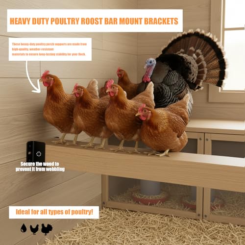 4Pcs Heavy Duty Poultry Roost Bar Mount Brackets, Metal Chicken Coop Roost Brackets for Chickens, Turkeys & Other Poultry, Stable Roosting Bars for Chickens in Coop with Screws（2x4in）