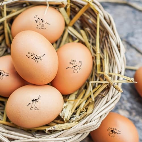 AHANDMAKER 5 Styles Cute Tiny Raptor Stamp Dinosaur Wooden Egg Stamps Decorative Label Stamps for Card Making Planner Decal Egg Famers and Owners, Farm Supplies(No Ink Include) - style: Dinosaur