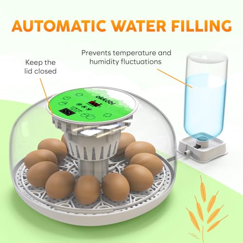 Okkobi M12 Egg Incubator with Automatic Turner and Humidity Control - 12/24 Eggs, 360° View, Easy to Use and Clean - Incubadora de Huevos de Gallina - Made for US - White & Green - color: Green