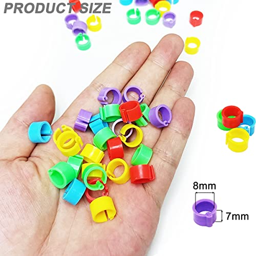 200Pcs 8mm Coturnix Quail Leg Bands Baby Chick Leg Bands Pigeon Bands Chicken Leg Bands Rings 8/16/20/25mm - size: 8mm - 200Pcs