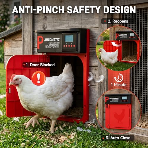 Automatic Chicken Coop Door with Solar Panel | Upgrade Door Opening, Anti-Pinch, Remote Control, Timer & Light Sensor, Weather Proof, 4 Modes, Easy Install
