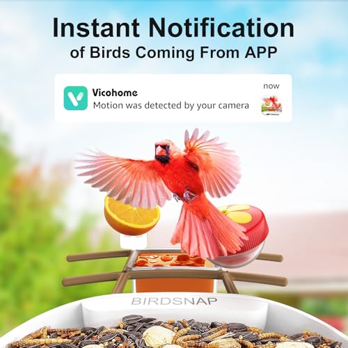 birdsnap® PAV Bird Feeder with Camera Solar Powered 2K Live Video 64GB Card | AI Bird Species Identification, Instant Arrival Alerts, IP65 Waterproof, Wild Bird Feeders for Outdoors, Gift for Bird Lovers - color: Light Brown