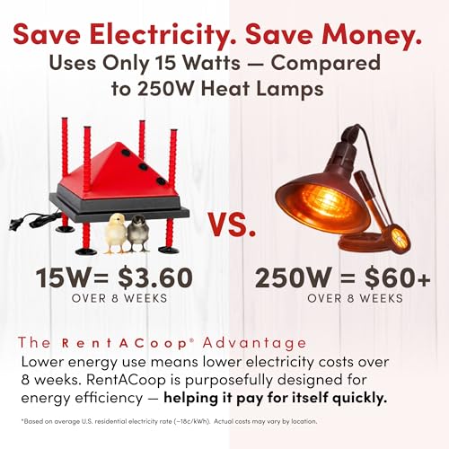 RentACoop 10x10” Adjustable Heating Plate with Foldable Anti-Roost Cone