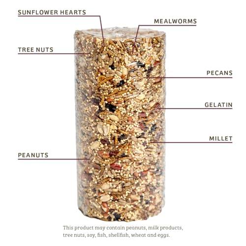 Birds Choice Bugs 'N Nuts Cylinder Seed | Wild Bird Food with Insects & Fruit | High-Energy Mix of Sunflower Hearts, Peanuts, Mealworms & Tree Nuts | High Protein & Bird Feed | 2.5 lbs | High-Energy Mix of Sunflower Hearts, Peanuts, Mealworms and Tree Nut