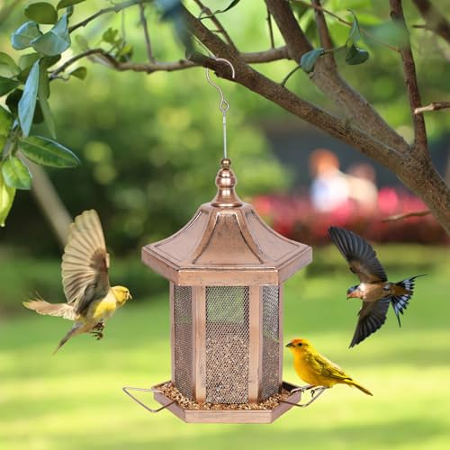 Metal Bird Feeder for Outdoors Hanging, Hexagon Bird Feeders for Garden Yard, 3LB Wild Birdfeeder Squirrel Proof for Outside