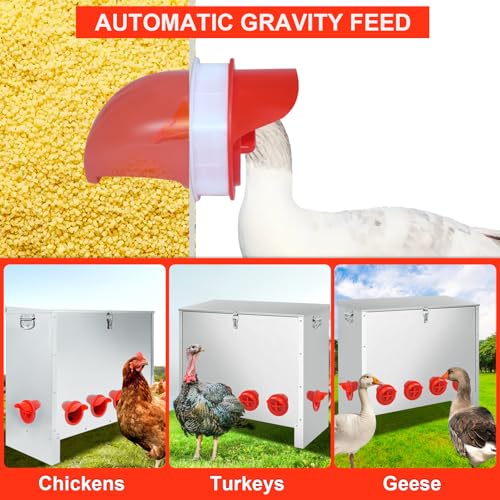 RYFT 85 Pounds Automatic Chicken Feeder 6-Port, Large Capacity Galvanized Metal Fed Chicken with Latch & Handle for Chickens, Pheasants, Bantams Poultry Coop Weatherproof Chicken Feeder