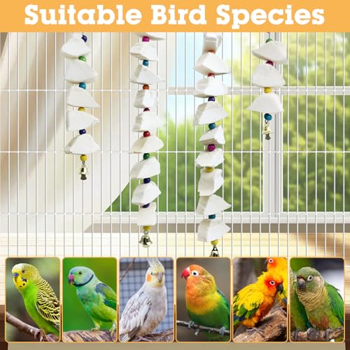 BNOSDM Bird Toys with Cuttlebone 4 Pack Hanging Cuttle Bone Chew Toys Natural Bird Beak Grinding Stone Parakeet Calcium Toys Bird Cage Accessories for Budgies Cockatiels Lovebirds Conures Parrots (9)