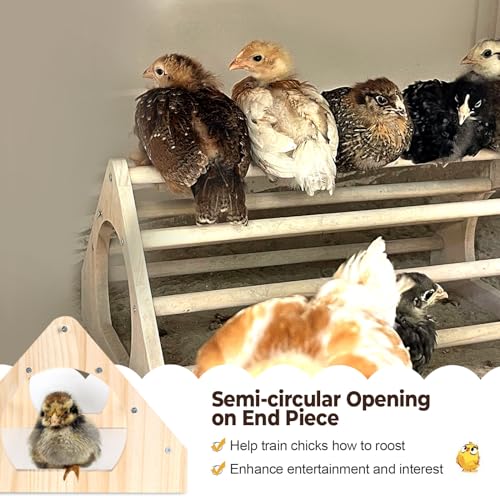 Chicken Perch 2-Pack, Heavy Duty Roosting Bars for Chickens in Coop, Large & Small Combo Set for Different Breeds, Non-Toxic Smooth Wooden Chick Perch for Poultry Resting