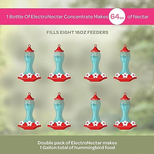 Kaytee Hummingbird ElectroNectar Wild Bird Food,16 oz Concentrate,Makes 128 oz of ElectroNectar,(Pack of 4) - size: 16 Fl Oz (Pack of 4), style: 16 Fl Oz Concentrate (Pack of 2)