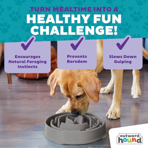 Outward Hound Fun Feeder Slo Bowl – Large 4‑Cup Capacity,Slow Feeding,Medium to Large Dogs,Non‑Slip,Gray,Drop Pattern,(Pack of 6) - color: Gray, size: Large (Pack of 6)
