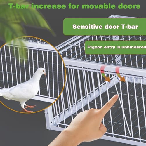 Pigeon Trap Cage with Escape-Proof Design Chicken Trap Bird Cage with One Way Entrance for Sparrows Quails Bird Chick and Duckling (15.75”L x 11.8” W x 10.24” H) - size: 15.75”L x 11.8” W x 10.24” H