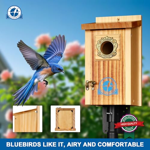 SISTERBIRD Preminum Bluebird Houses for Outside, Wooden Bluebird House, Birdhouses for Outdoors Courtyard, Festival Bird Nesting, Assembly Bird Box, Bluebird Finch Swallow Wren Chickadee - color: Medium Toast Vintage -- 1PK