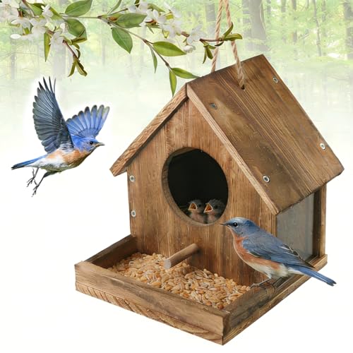 DIY Wooden Hummingbird House Assembly Kit for Outside Hanging | Humming Bird House with Bird Feeder and Transparent Viewing Window for Outdoors, Great Garden Decoration Gift for Bird Lovers