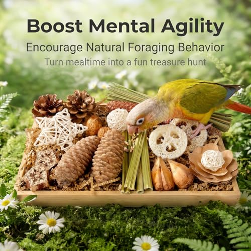 Natural Parrot Foraging Chew Box Toy for Small Medium Parakeets | Shredding molar cage accessory with pine cones, rattan balls & loofah slices; interactive toy for conures, lovebirds