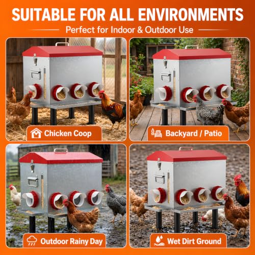 55 LB 10-Gallon Automatic Chicken Feeder, Large Metal Poultry Feeder with Window, 4-Sided No-Waste Feeding Design, Rust-Resistant Steel with Adjustable Legs for Outdoor Coops