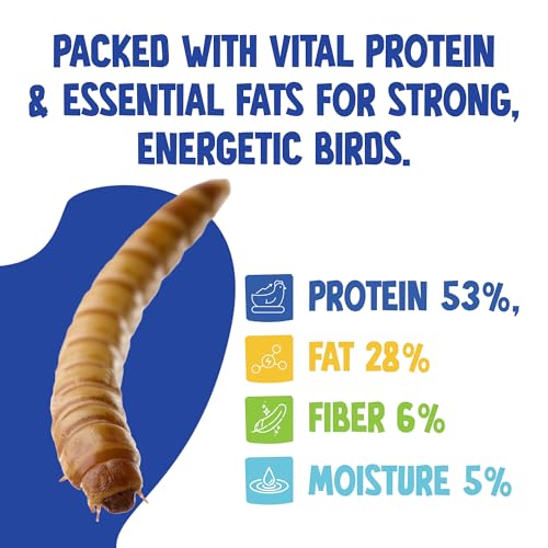 Chubby North American Grown Dried Mealworms, 20 lbs | Non-GMO High-Protein Treats for Chickens, Ducks & Wild Birds – Sustainable Chicken Feed - size: 20 Pound (Pack of 2)