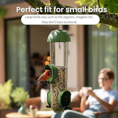 ‌LONA 2 Pack Tube Bird Feeders, Weatherproof Design with 3 Feeding Ports | Easy-fill Top Design, 2 Ways for Hanging, Suits Mixed Seeds, Squirrel-Proof Bird Feeder for Backyard/ Garden/ Patio, Green - size: 3 Ports ×2