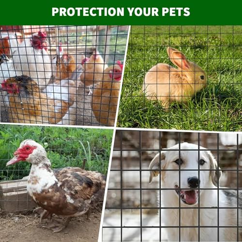 Garvee 1/2inch 72inx100ft 19 Gauge, Chicken Wire Fence Wire Mesh Fence Galvanized Steel Poultry Netting Garden Fence Tree Guard Wire Fence Rolls Hardware Cloth for Yard Vegetable Plant Protection