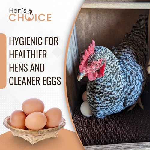 Hen's Choice™ - NestTurf Chicken Nesting Box Pad | Washable Plastic Nesting Box Liner | Chicken Bedding for Coop (12" x 12" (x6 Soft)) - size: 12" x 12" (x6 soft)