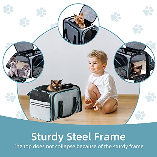 Cat Dog Airline Approved Expandable Pet Carrier for Small Pets | Removable Pad, Pockets, TSA Compliant, Soft-Sided, Breathable Mesh Window - size: 43.0"L x 32.0"W x 12.0"H