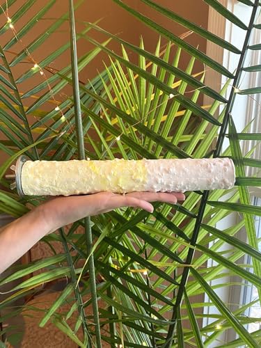 Polly's Edible Cuttlebone Calcium Bird Cage Perch for Budgies, Parakeets, Amazons, Blue & Golds, Macaws and Cockatoos.… (Pineapple, Large) - color: Pineapple, size: Large