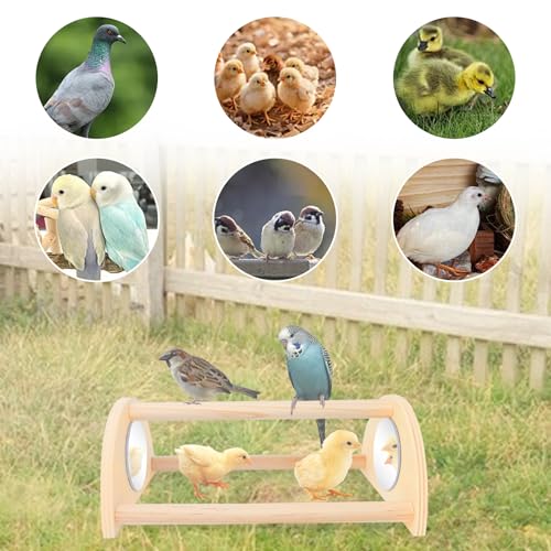 ALIBBON Mini Chicken Perch with Mirror Chick Strong Wooden Jungle Gym Roosting Bar Chicken Toys for Coop and Brooder Chick Training Perch for Large Bird Baby Chicks Parrot