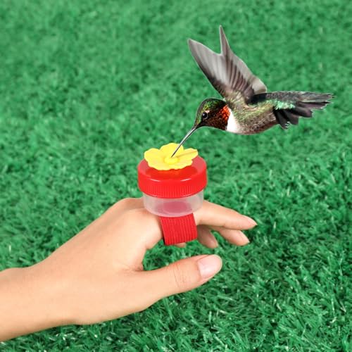 Handheld Hummingbird Feeders with Cleaning Brush, 2-Pack, Mini Hand Feeder | Mini Flower Hand Held Hummingbird Feeder Ring for Window Outdoor Wild Perch Feeding, Plastic Hummingbird Feeders