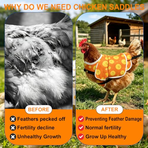 Chicken Saddle for Hens, 2 Pack, Adjustable Waterproof Hen Vest, Breathable Fabric, Feather Protection and Recovery, Rooster Mating Guard (Orange Chick & White Rooster)