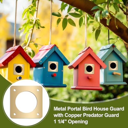 Hotop 18 Pcs 1 1/4'' Opening Metal Bird House Guard Portal Bird House Hole Protector with Copper Open Protector Guards for Eastern Bluebird Rooms Sparrow Houses(Opening) - size: 1 1/4'', style: Opening
