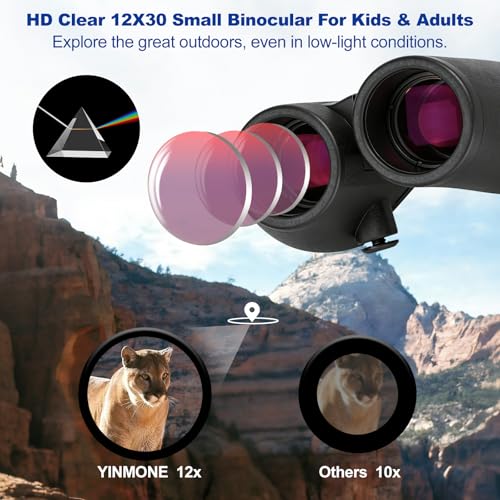 12x30 Compact Binoculars for Adults Kids, HD High Powered Binocular | Small Binoculars for Bird Watching Cruise Travel, with Phone Adapter, BAK4 Prism, Waterproof Lightweight Pocket Binoculars