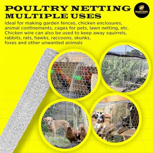 Chicken Wire 24 in x 200 FT x 2” Mesh x 20GA | Poultry Wire Netting | Hot Dipped Galvanized | Chicken Coop, Rabbit Cage, Fence Barrier (24 x 200 x 2) - style: 24 in x 200 FT x 2 in