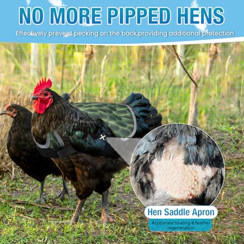 Chicken Saddle for Hens - Chicken Aprons for Hens With Adjustable Straps, Chicken Aprons & Vest Jacket for Hens - style: Green Feather