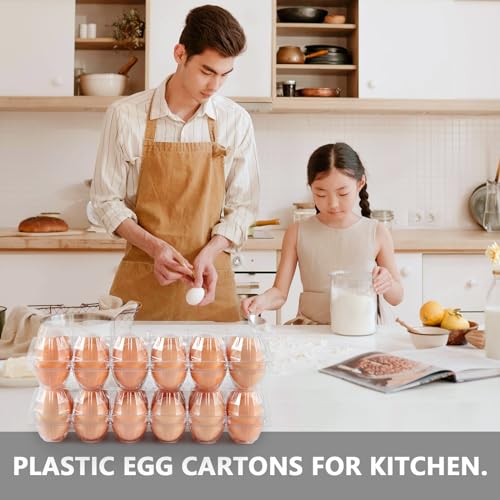 60PCS Egg Cartons 12 Count Clear Egg Cartons Cheap Bulk for Large Eggs | 1 Dozen Blank Chicken Egg Tray Holders for Family, Chicken Farm, Business Market Display - size: 60Pack-2x6 Grids