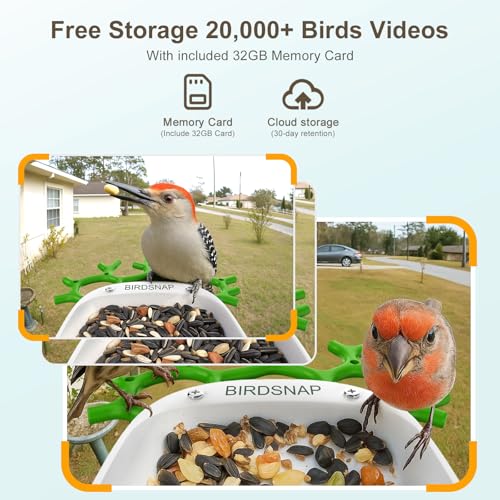 Smart Bird Feeder with Camera Solar Powered 2K HD Live Video with 32GB Card | AI Identifies 10,000+ Bird Species, Instant Alerts, IP65 Waterproof, Easy Setup, Bird Watching Gift for Bird Lovers - color: Light Green