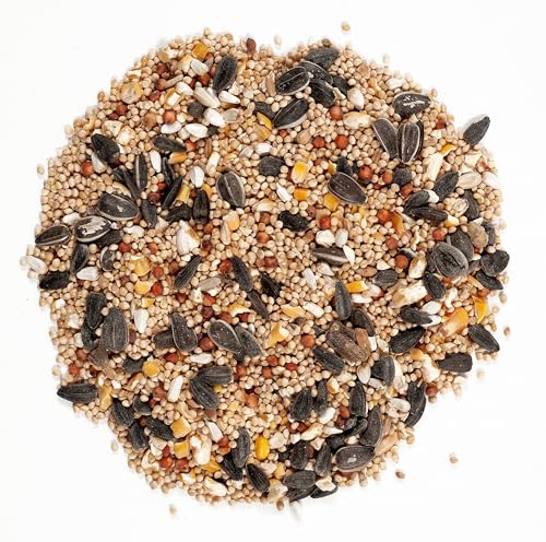 Wagner's 62004 Eastern Regional Wild Bird Food, 20-Pound Bag - size: 20 Pound (Pack of 1)
