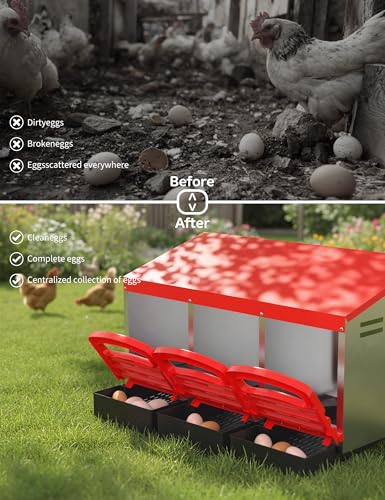 GarveeLife Chicken Nesting Box 3 Hole, Galvanized Steel Nest with Roll Away Egg Collection & Swing Perch, Easy-Clean Laying Box for Hens, Heavy Duty Design for Chicken Coop - color: Red, size: 3 holes